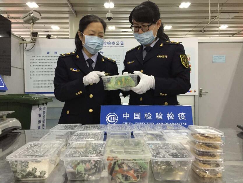 东莞南深圳福田口岸预约车接送